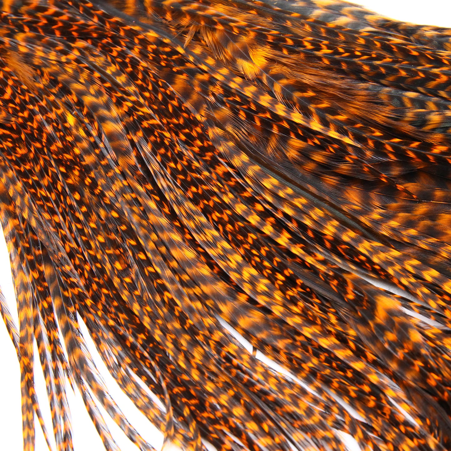 Keough Half Grizzly Saddles Orange