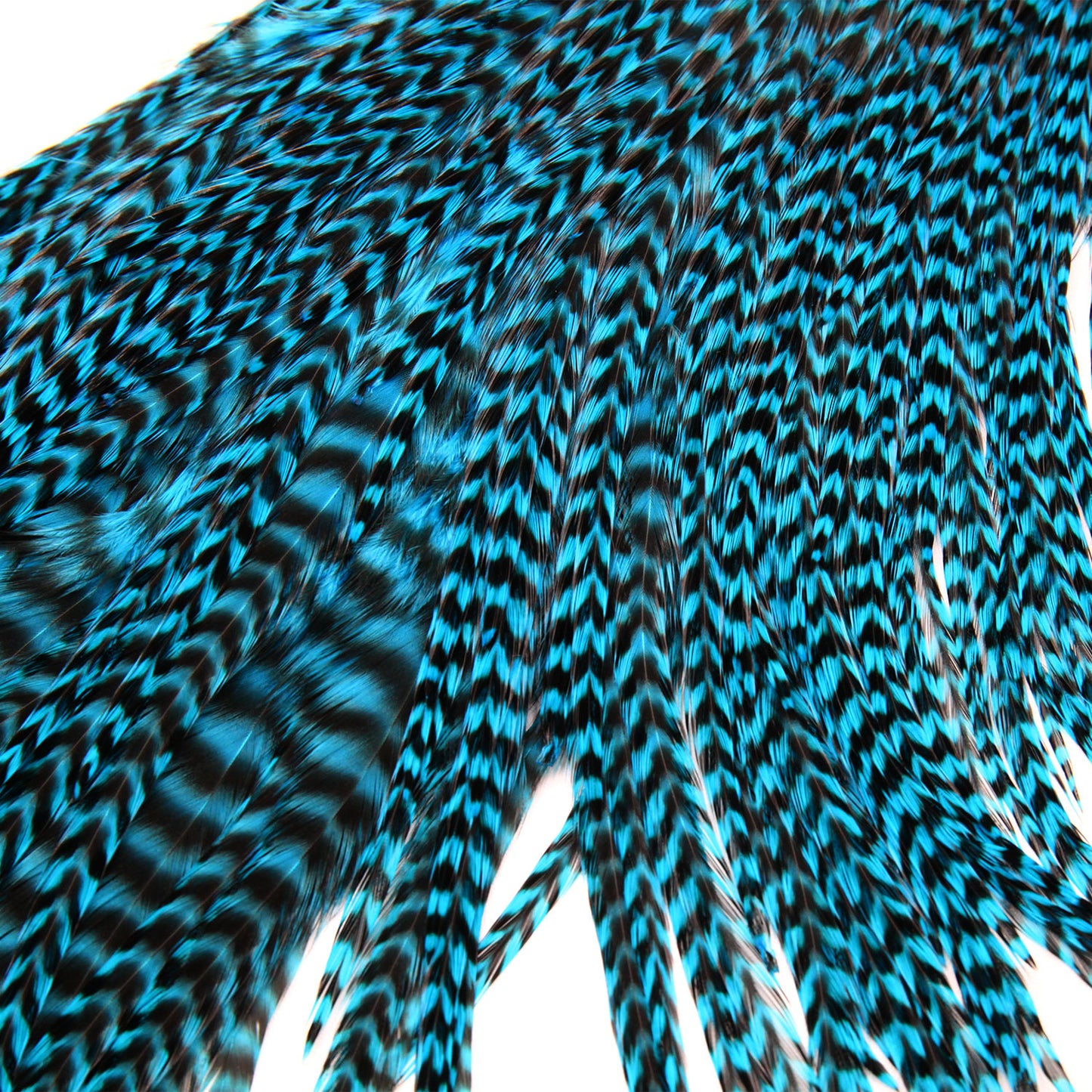 Keough Half Grizzly Saddles Teal Blue