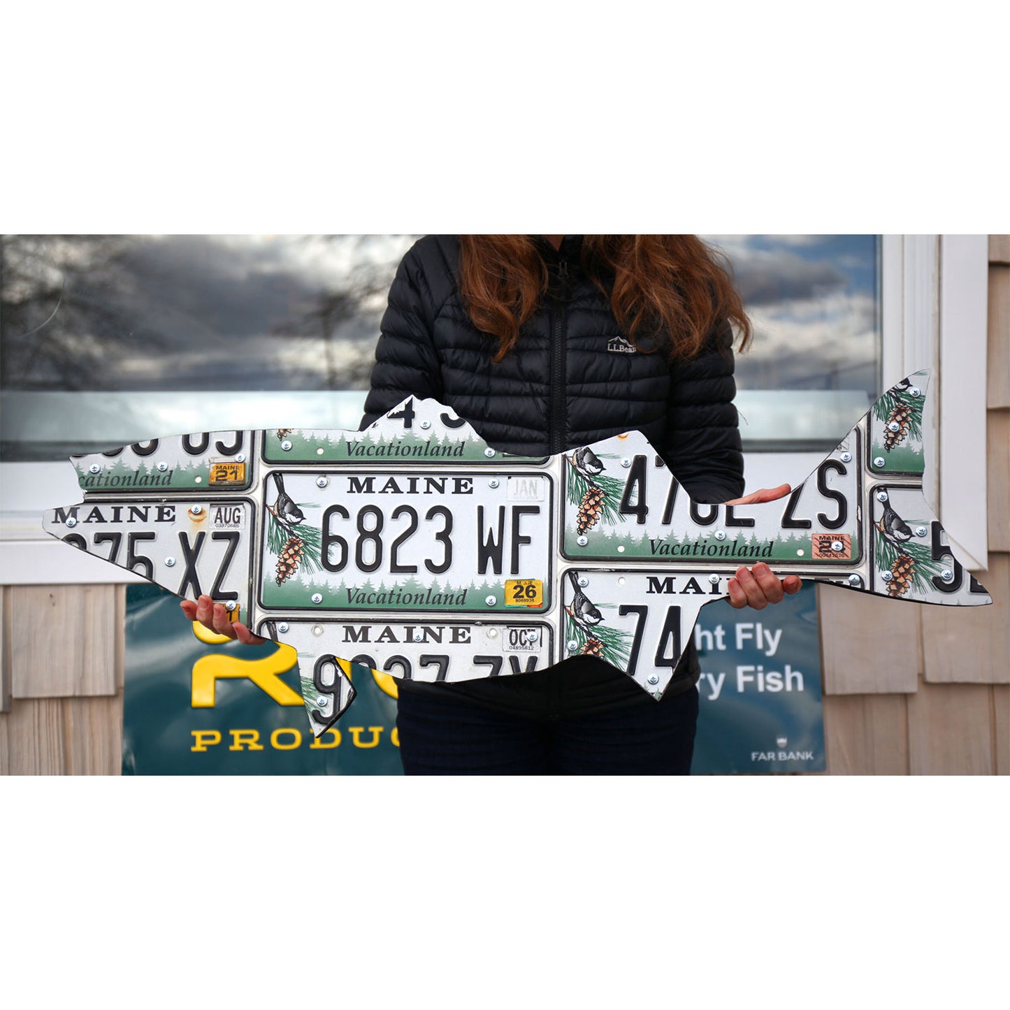 38" Maine Striped Bass