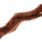 Black Barred Rabbit Zonker Strips Medium Brown