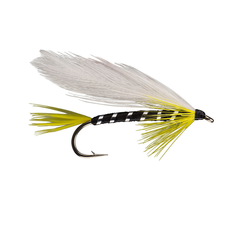 Black Ghost Streamer Fly Featherwing