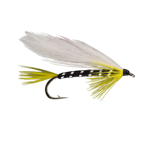 Black Ghost Streamer Fly Featherwing