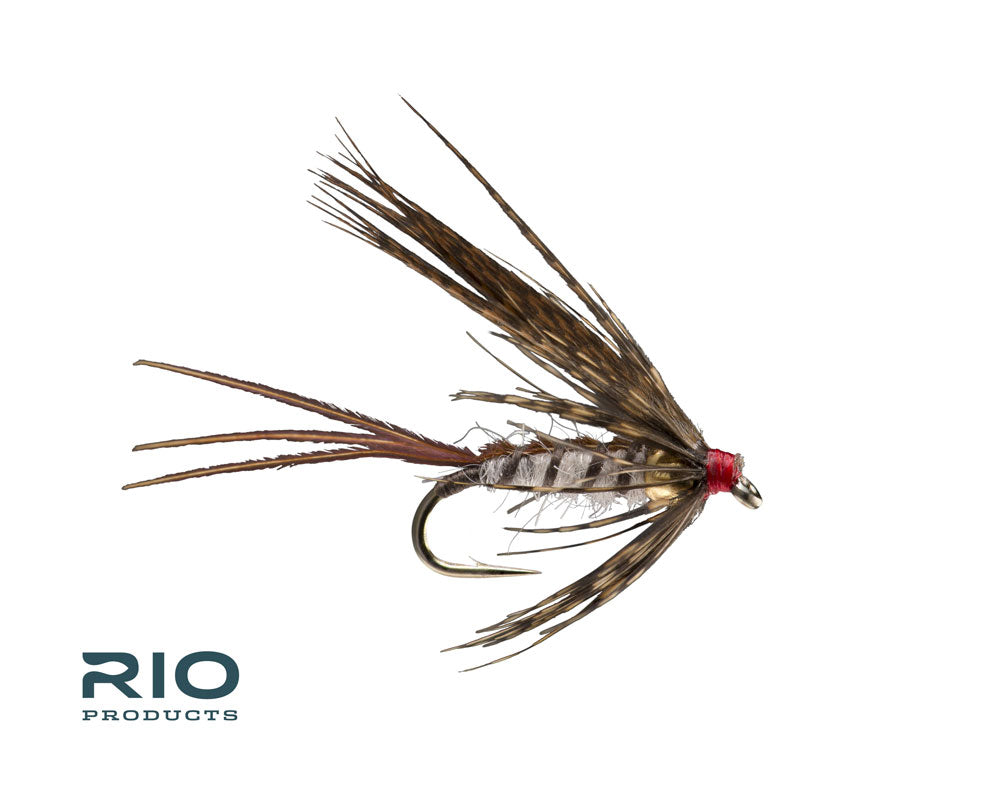 March Brown Emerger (Soft Hackle)– All Points Fly Shop + Outfitter