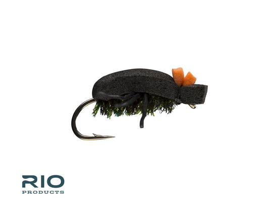 Foam Beetle - Dry Fly