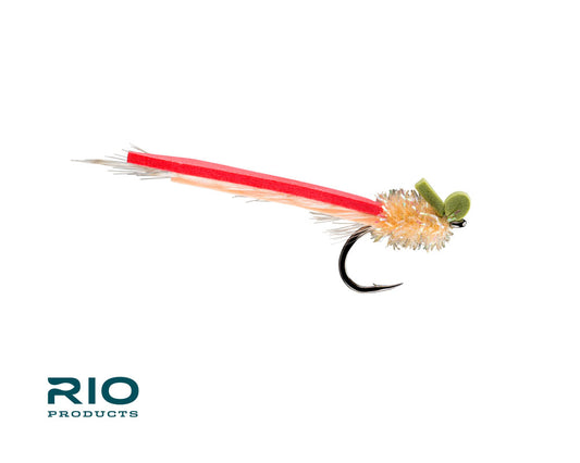RIO's Palolo Slider