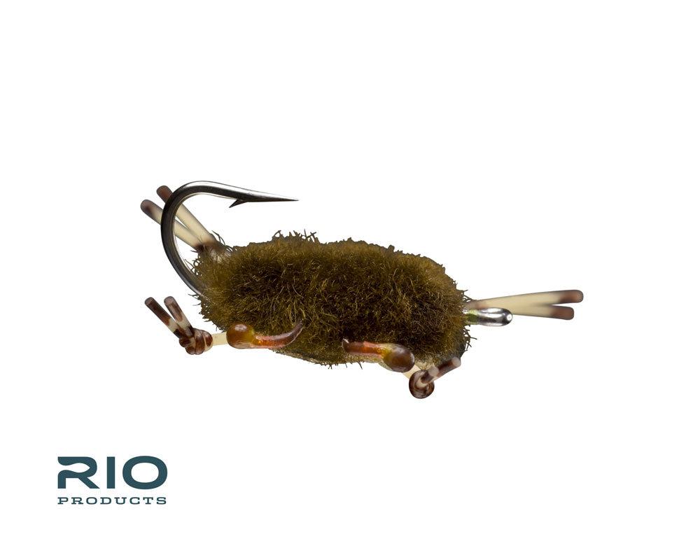 Woolly Crab Olive