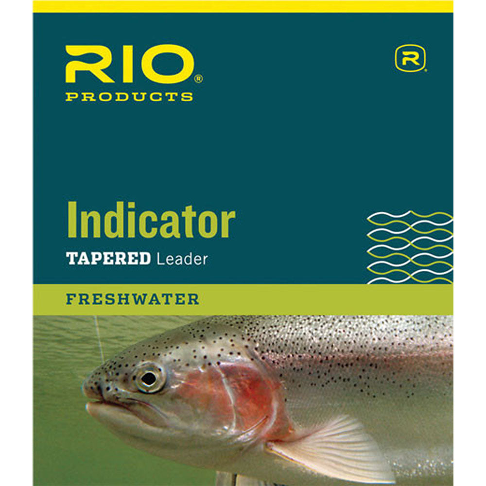 RIO Indicator Leaders