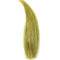 Squimpish Hair Green Olive