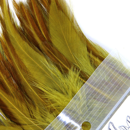 Strung Saddle Hackle Olive