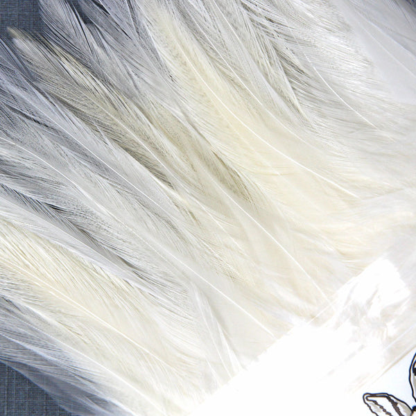 Strung Saddle Hackle White