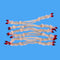 EP Crab Claw